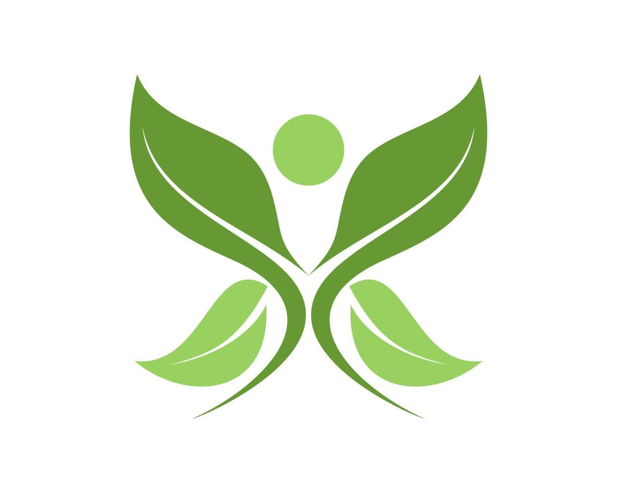Leaf with butterfly green design vector