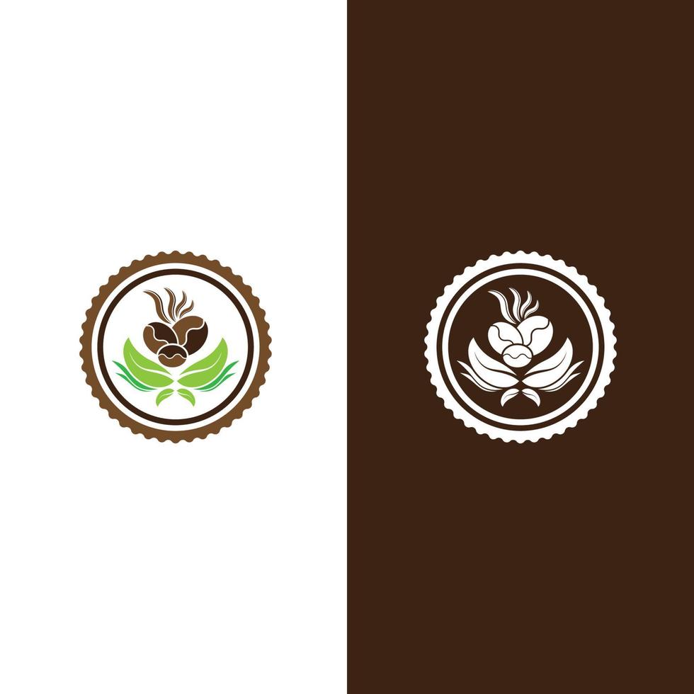 coffee bean icon vector