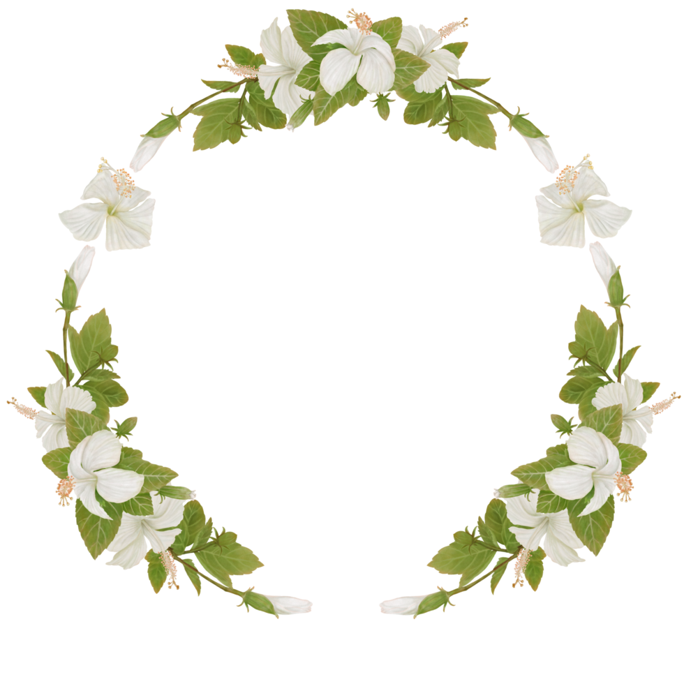 Wreath of Tropical Flowers in Hibiscus Watercolor png