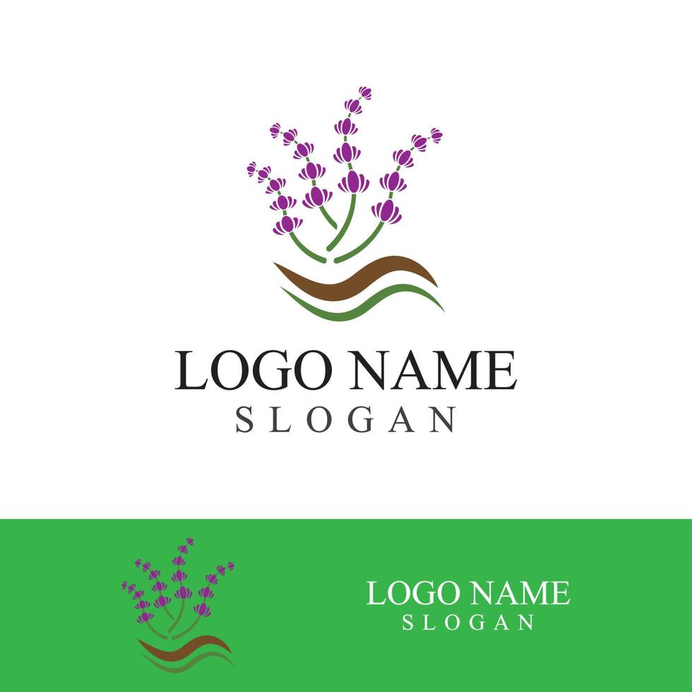 Fresh lavender flower logo vector