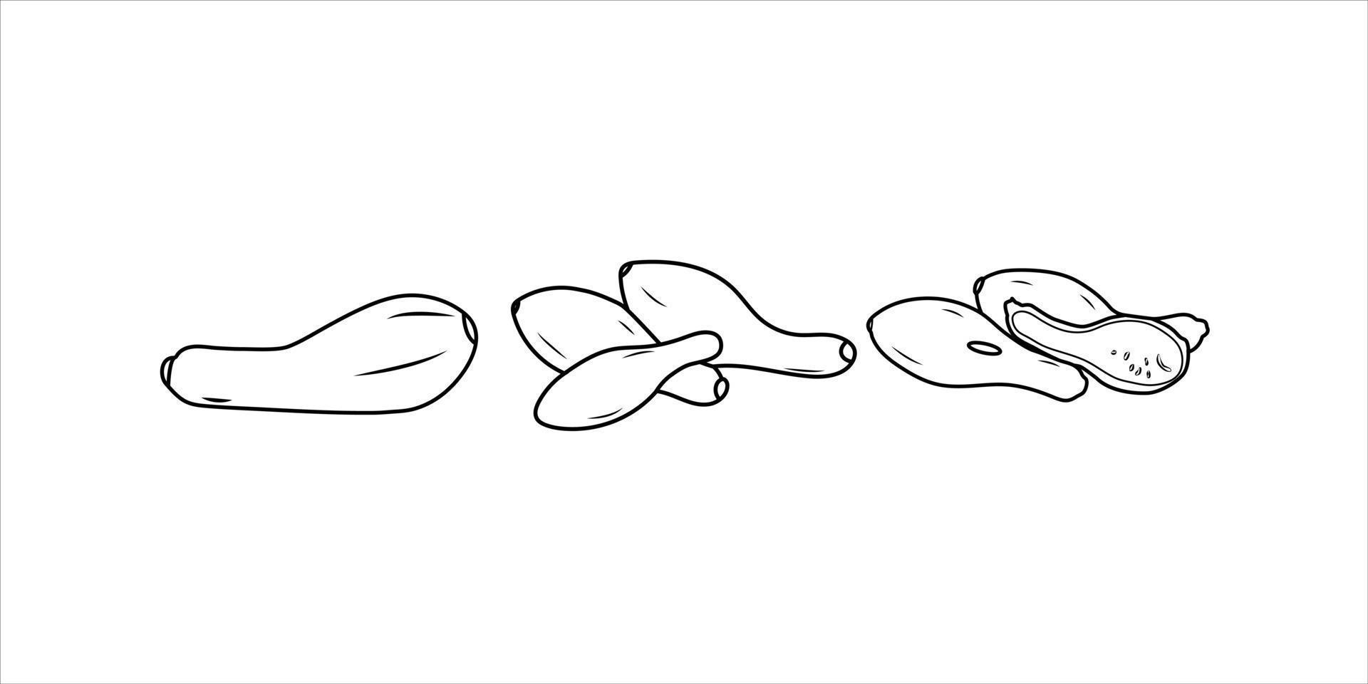 Flat vector of Crookneck doodle isolated on white background. Flat illustration icon.