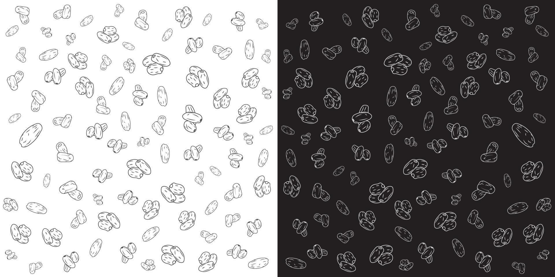 Vector Illustration of Date Fruit. Phoenix Dried Fruit. logo , symbol or icon pattern , for web and print