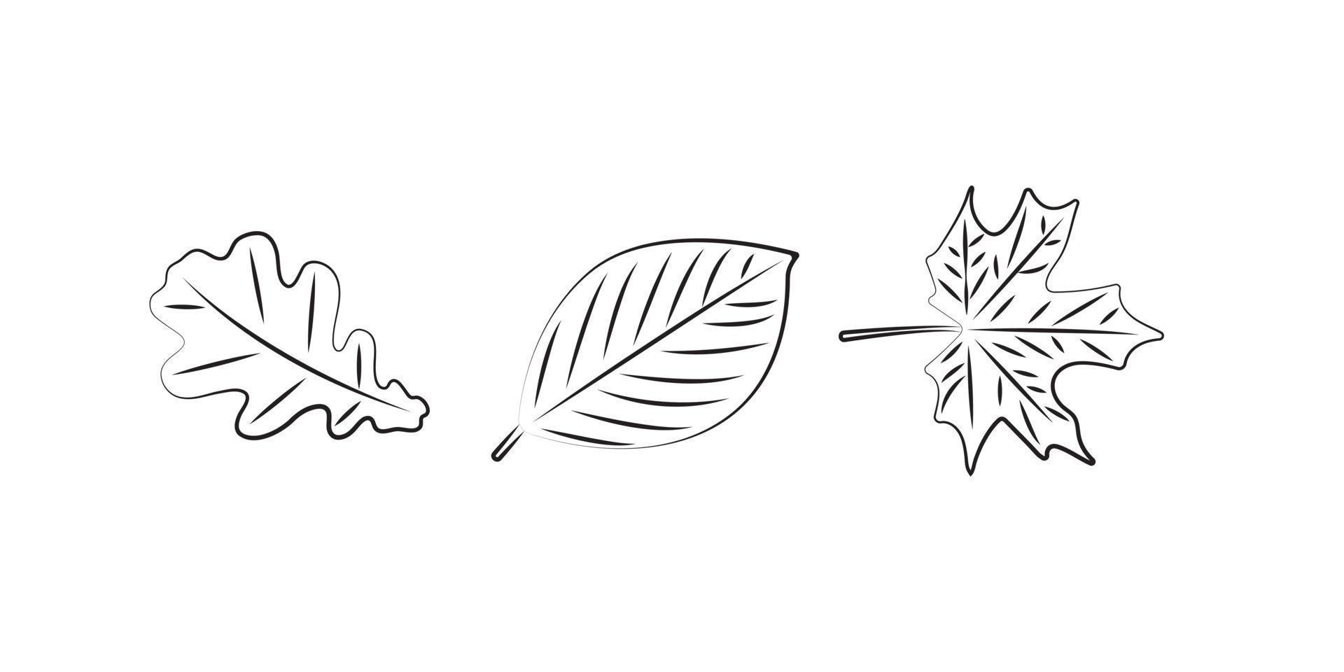 Fall leaves in three shapes black and white. vector illustration