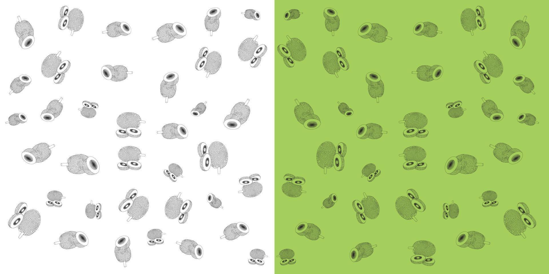 Set of Breadfruit or Custard apple vector illustration for web and apps.