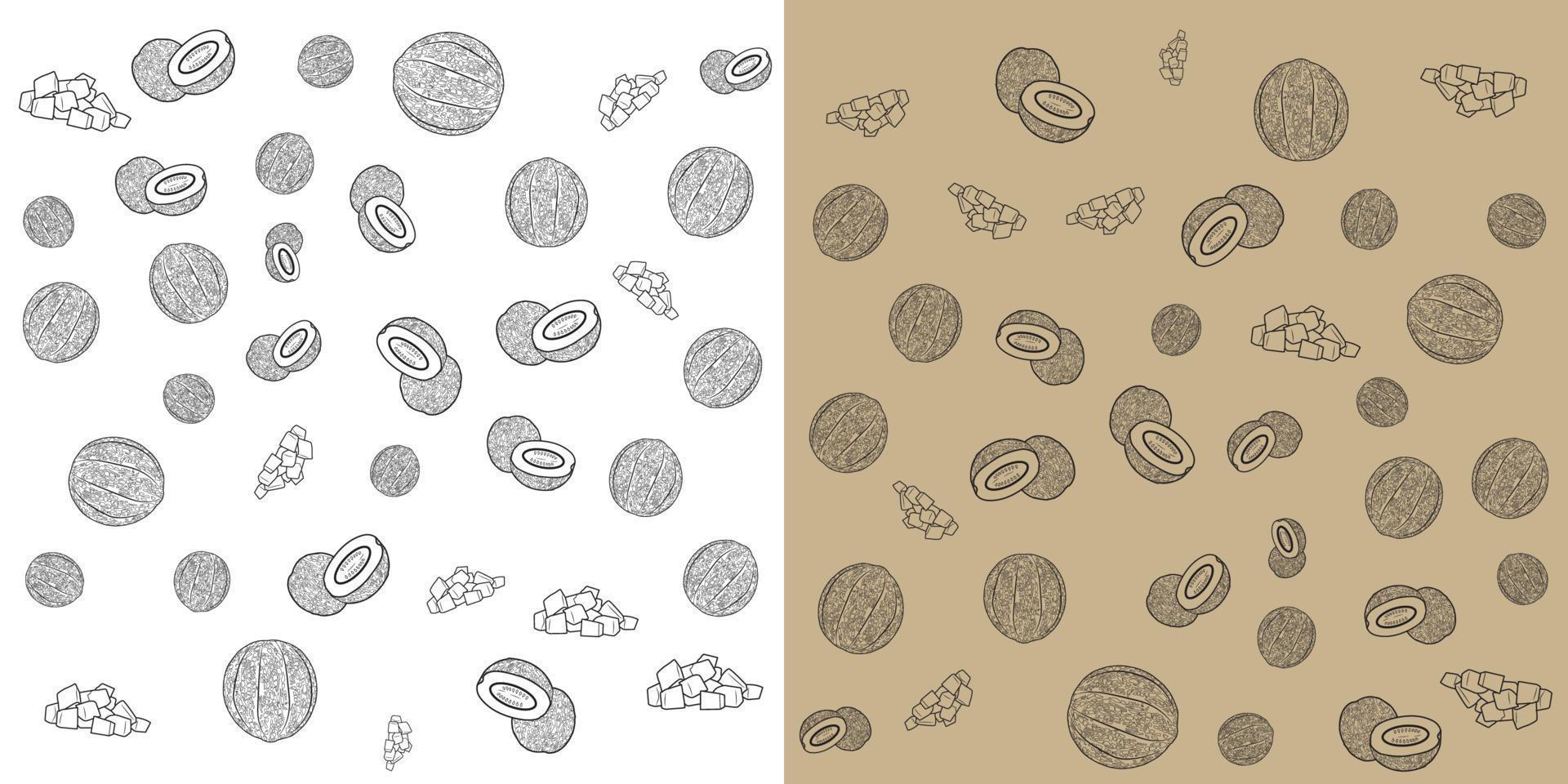 Sweet melon or Cantaloupe with two backgrounds. doodle vector illustration.