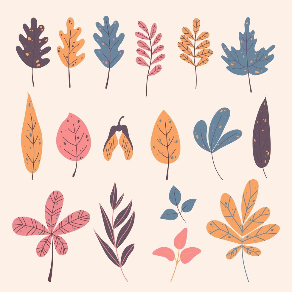 Set of different autumnal leaves in an extraordinary palette for decoration, product design vector