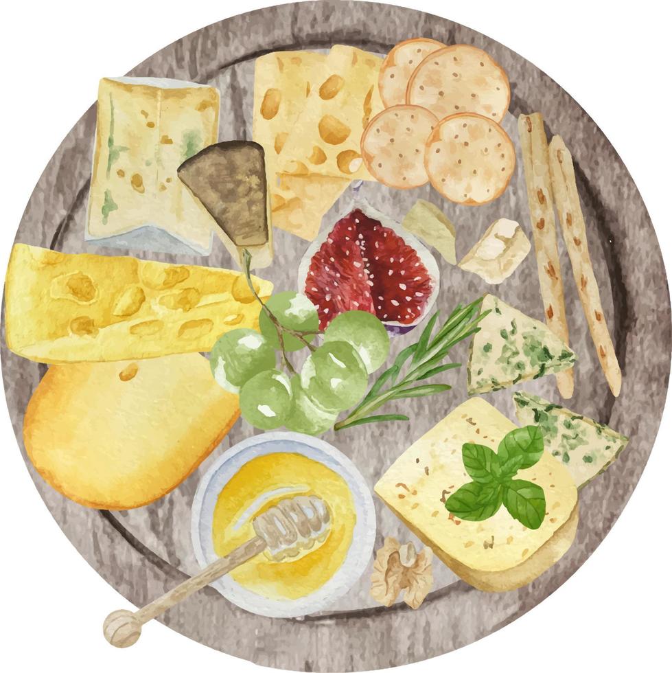 Watercolor cheese board for logo. Gourmet composition natural cheese. Cheese assortment with nuts, wine, honey. Italian, dutch, french or swiss cuisine with cheese plate composition. vector