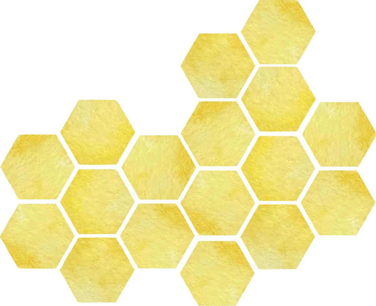 Watercolor yellow big bees combs isolated on white background. B vector