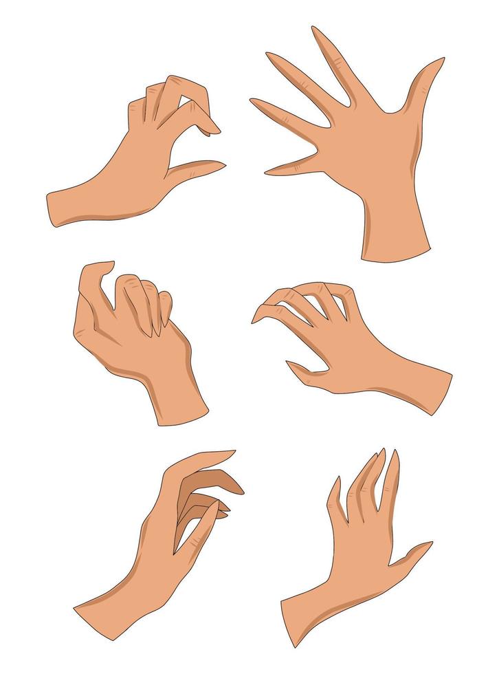 conjunto de ilustración vectorial de mano mano humana gesto palma dedos vector