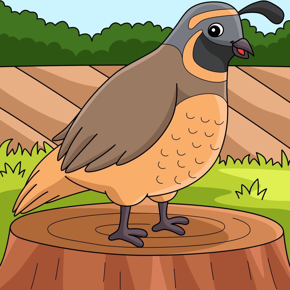 Quail Animal Colored Cartoon Illustration vector