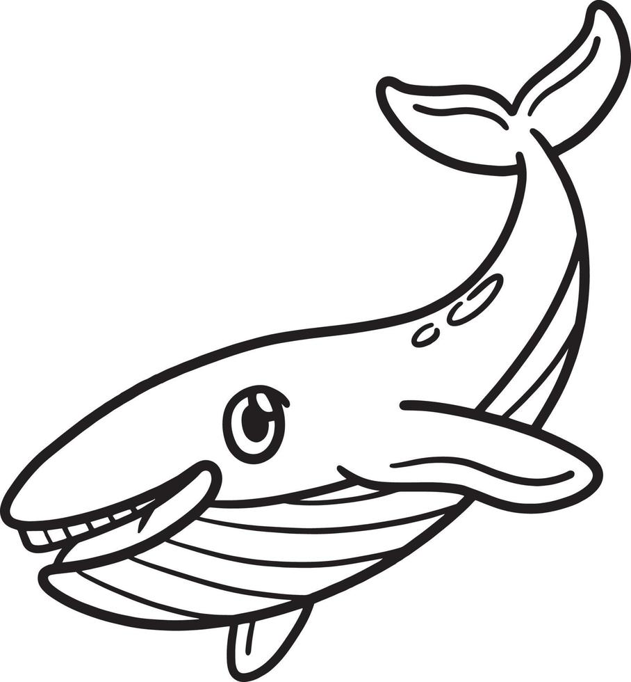 Whale Animal Isolated Coloring Page for Kids vector