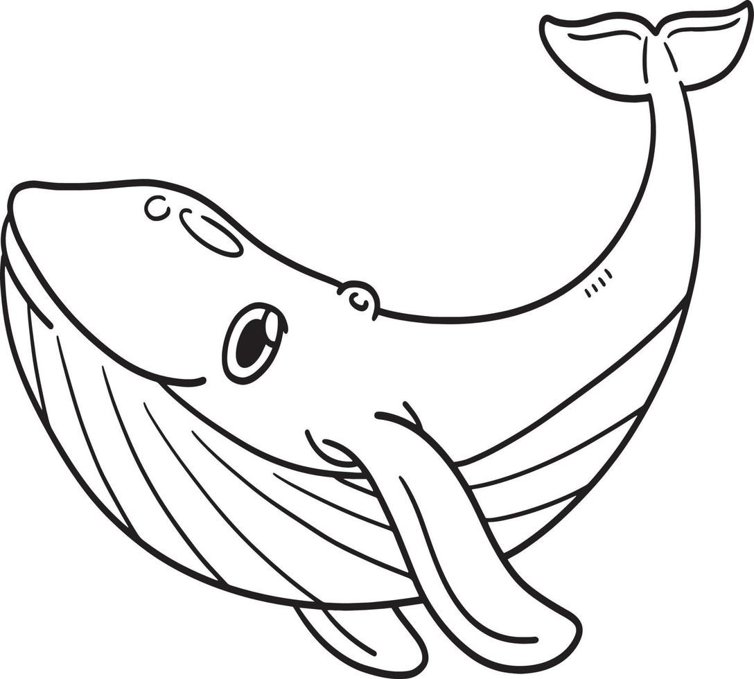 Whale Animal Isolated Coloring Page for Kids vector