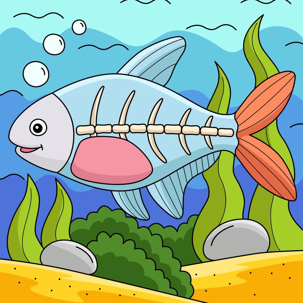 X-ray Fish Animal Colored Cartoon Illustration vector