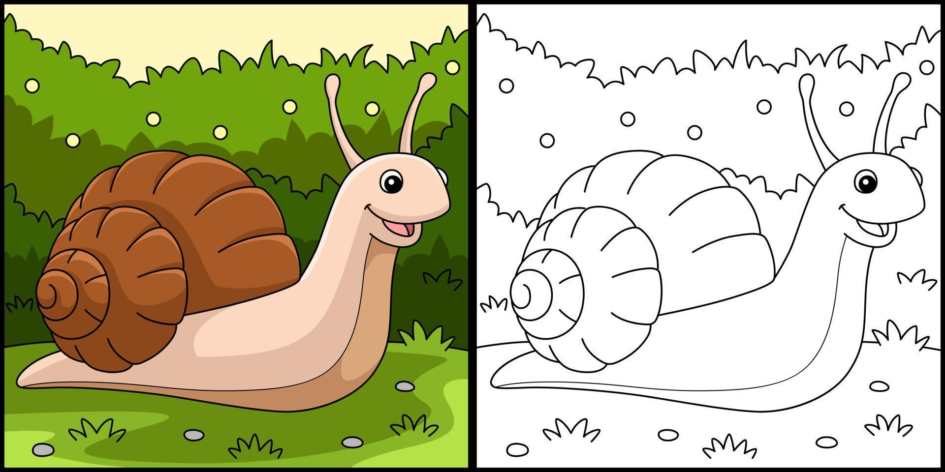Snail Animal Coloring Page Colored Illustration vector