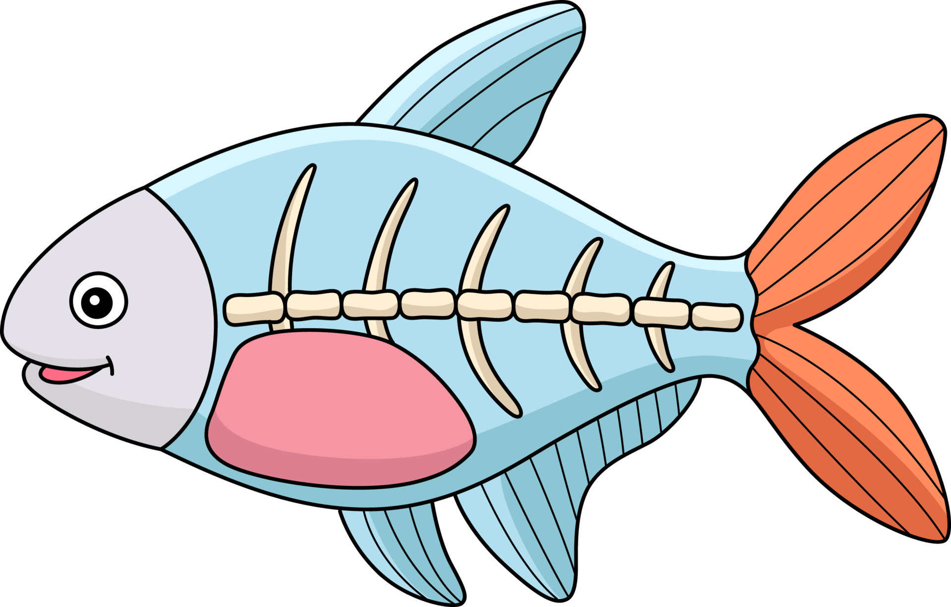 X Ray Fish Vector Art, Icons, and Graphics for Free Download