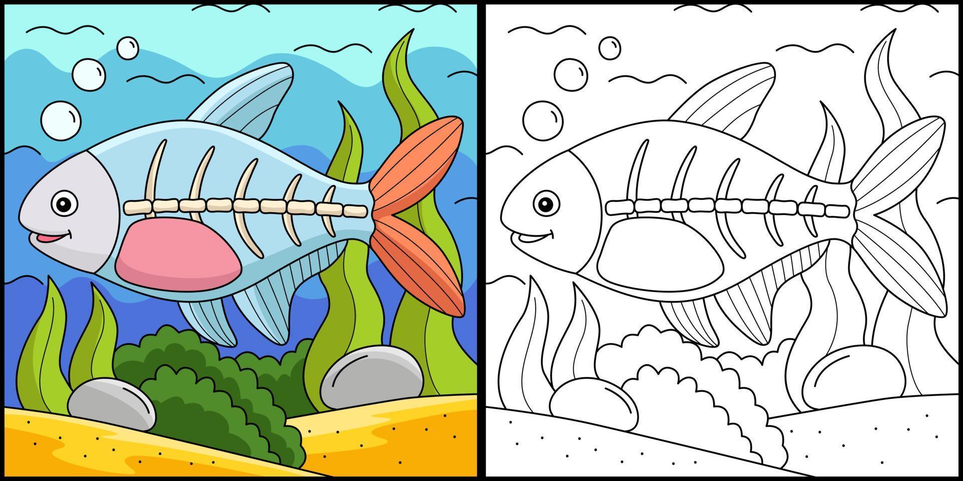 ilustración de página para colorear de animales de peces de rayos x vector