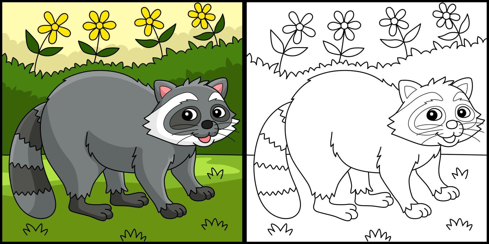 Racoon Animal Coloring Page Colored Illustration vector