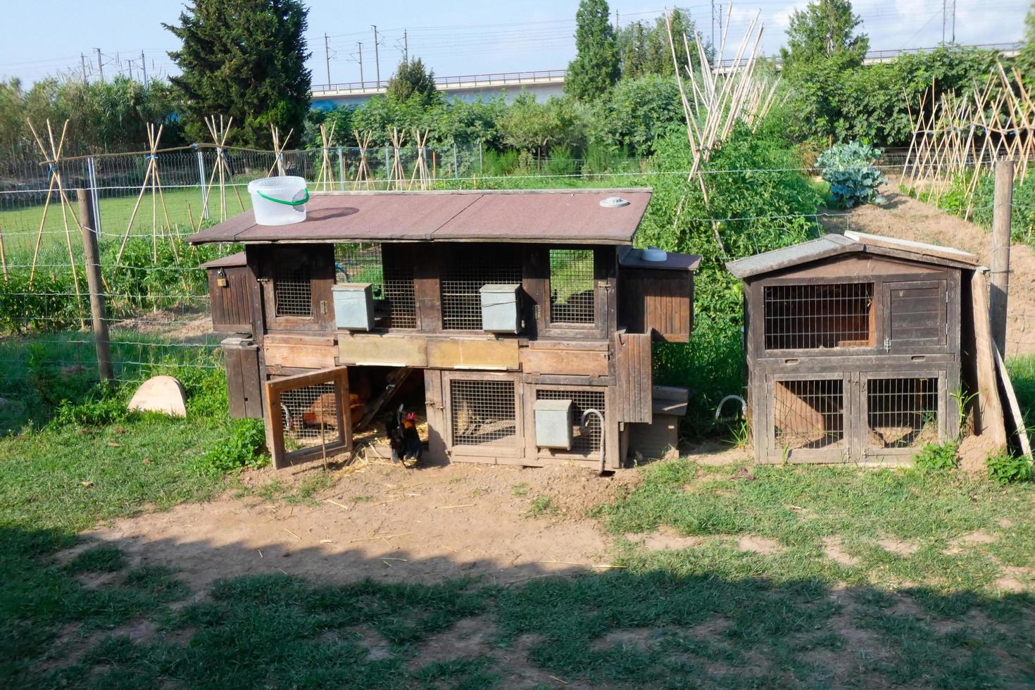 Poultry houses are the houses where hens lay their eggs. photo