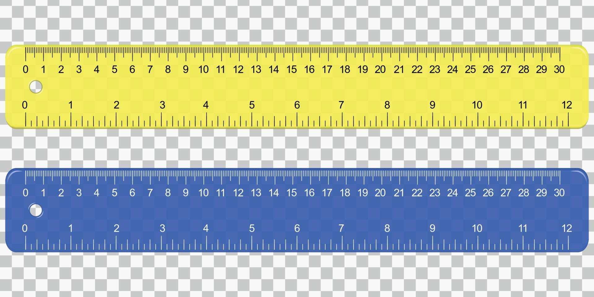 School Plastic Measuring Ruler vector