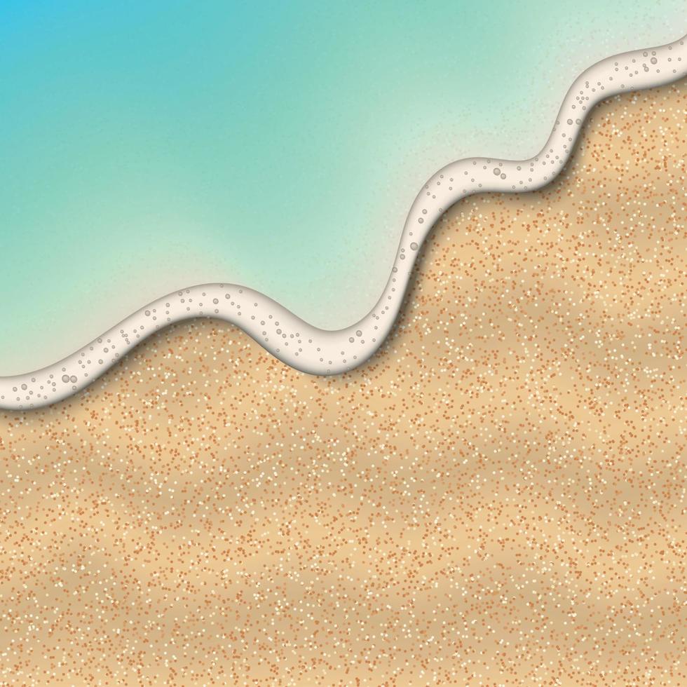 Sand of the beach vector