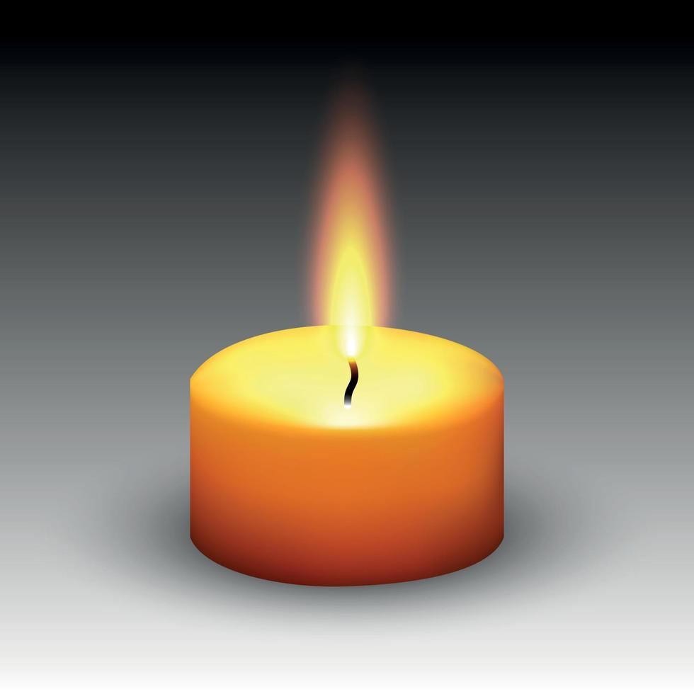 realistic paraffin burning candle vector