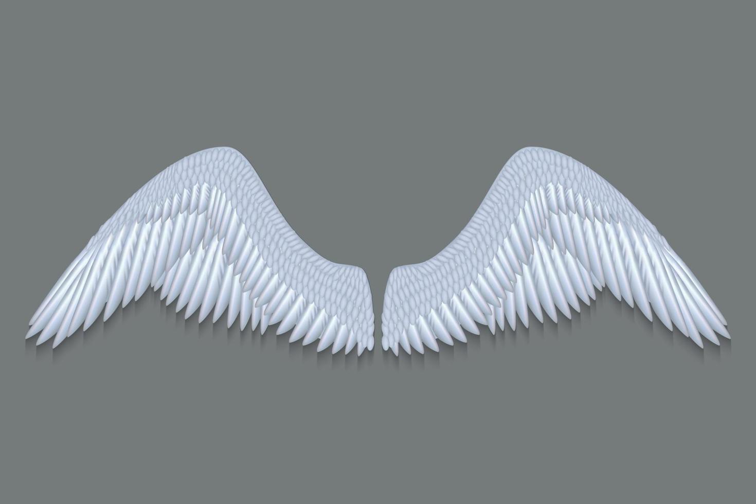 alas de angel blanco vector