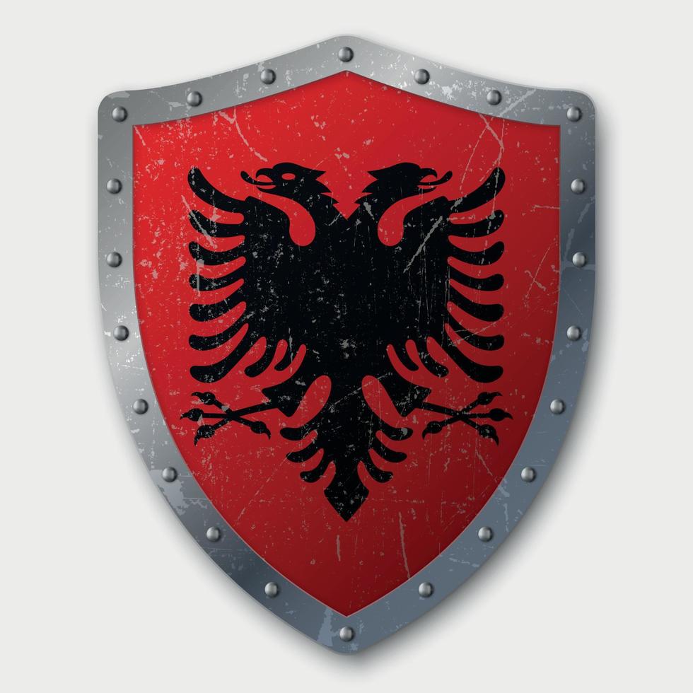 Old Shield with Flag vector