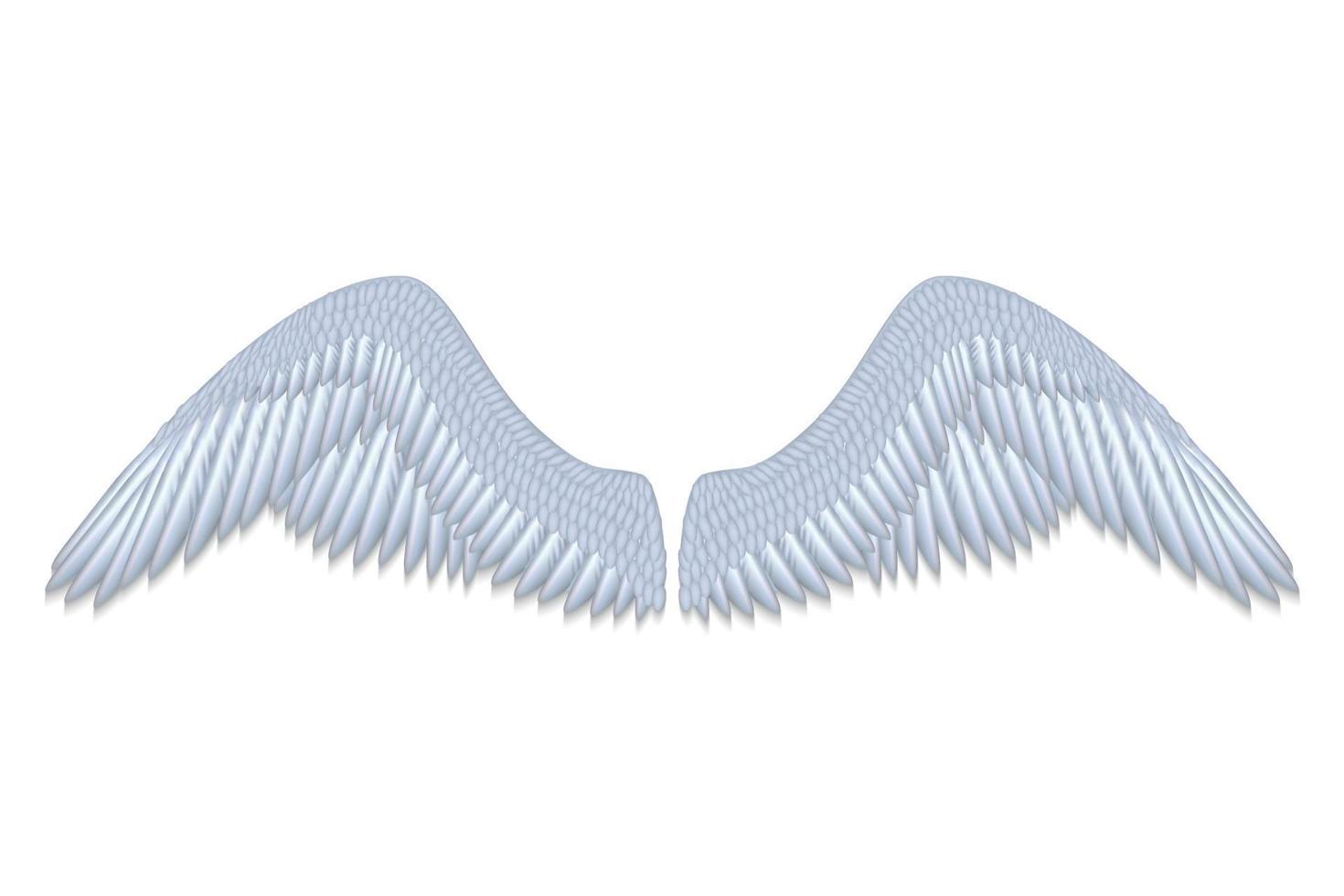white angel wings vector