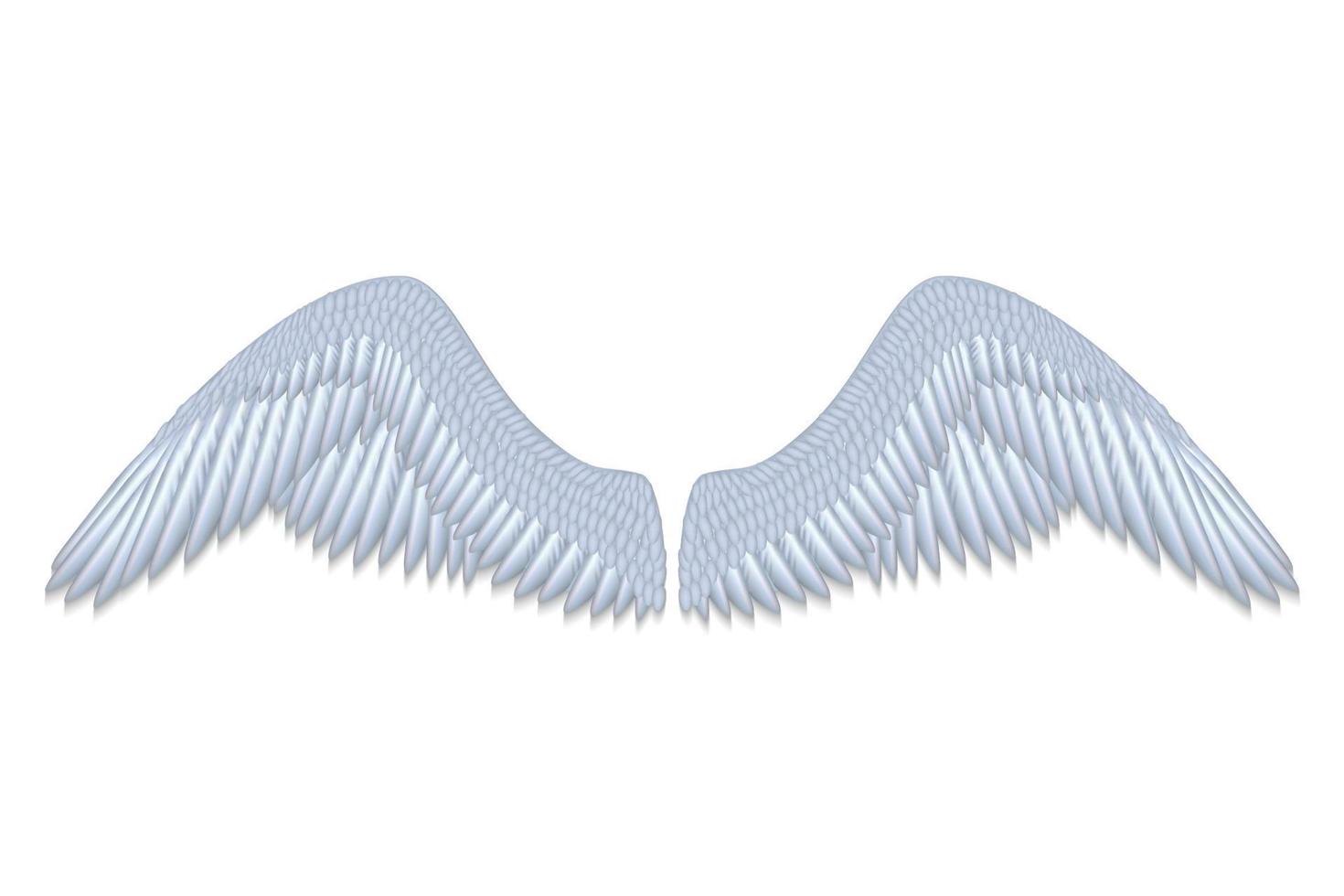 white angel wings vector
