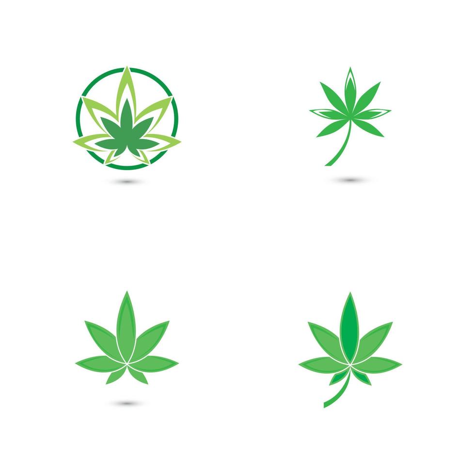 Canabis leaf vector illustration icon design