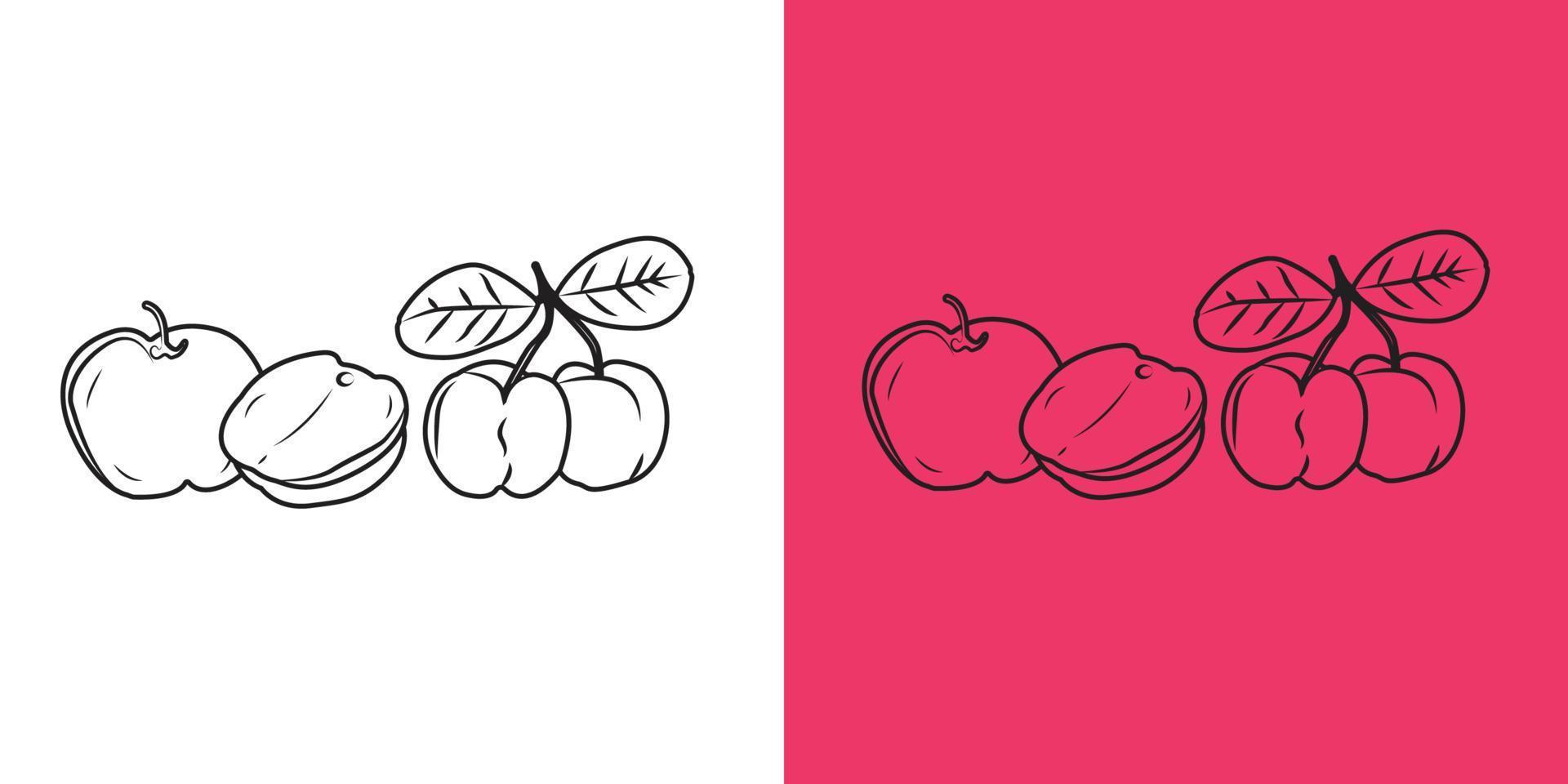 frutos de cereza acerola o ilustración vectorial de manzana sobre fondo rojo y blanco. vector