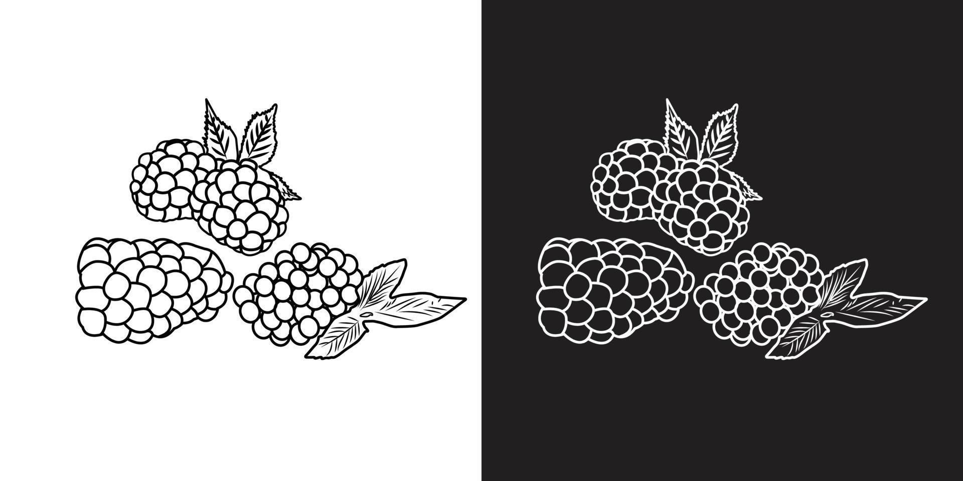 Vector illustration of berries. Strawberries, blueberries, raspberries, blackberries. on black and white background.