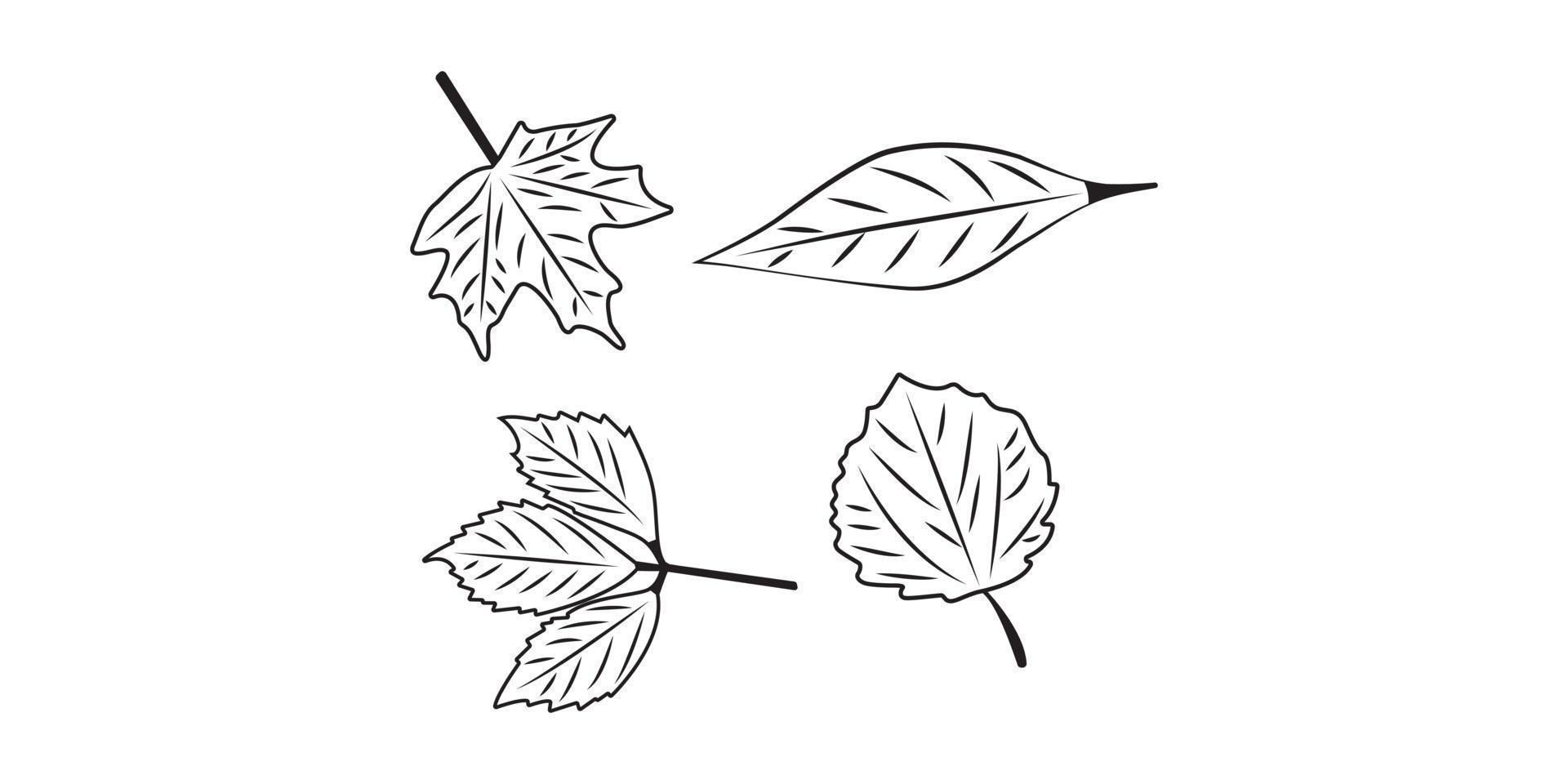 Classic Fall leaves in four different shapes black and white. vector illustration