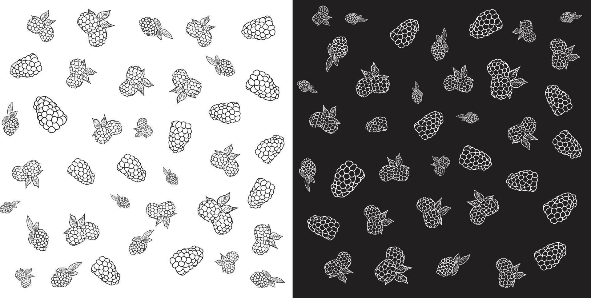 arte lineal de una ilustración de grosella negra de blackberry. toma de fotograma completo del patrón de blackberry. ilustración en blanco y negro de mora. vector