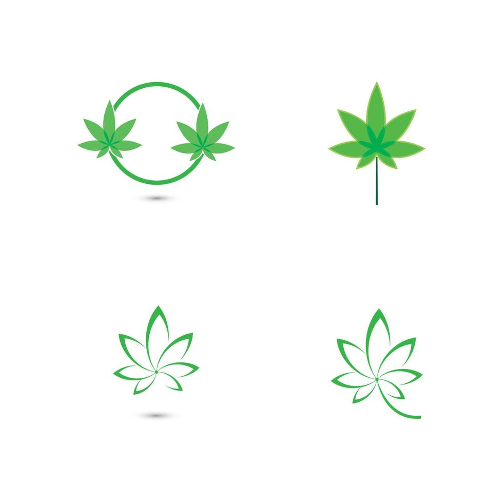 Canabis leaf vector illustration icon design