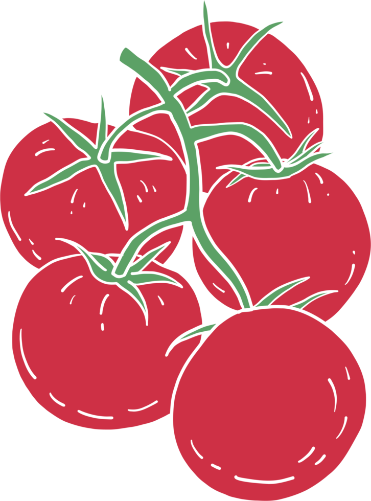 scarabocchiare a mano libera disegno di verdure di pomodoro. png