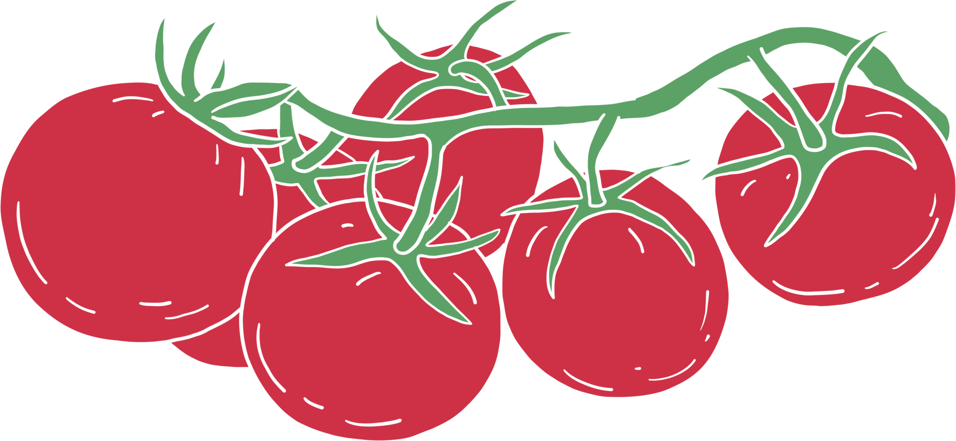 Gekritzel-Freihand-Skizze-Zeichnung von Tomatengemüse. 10996389 PNG