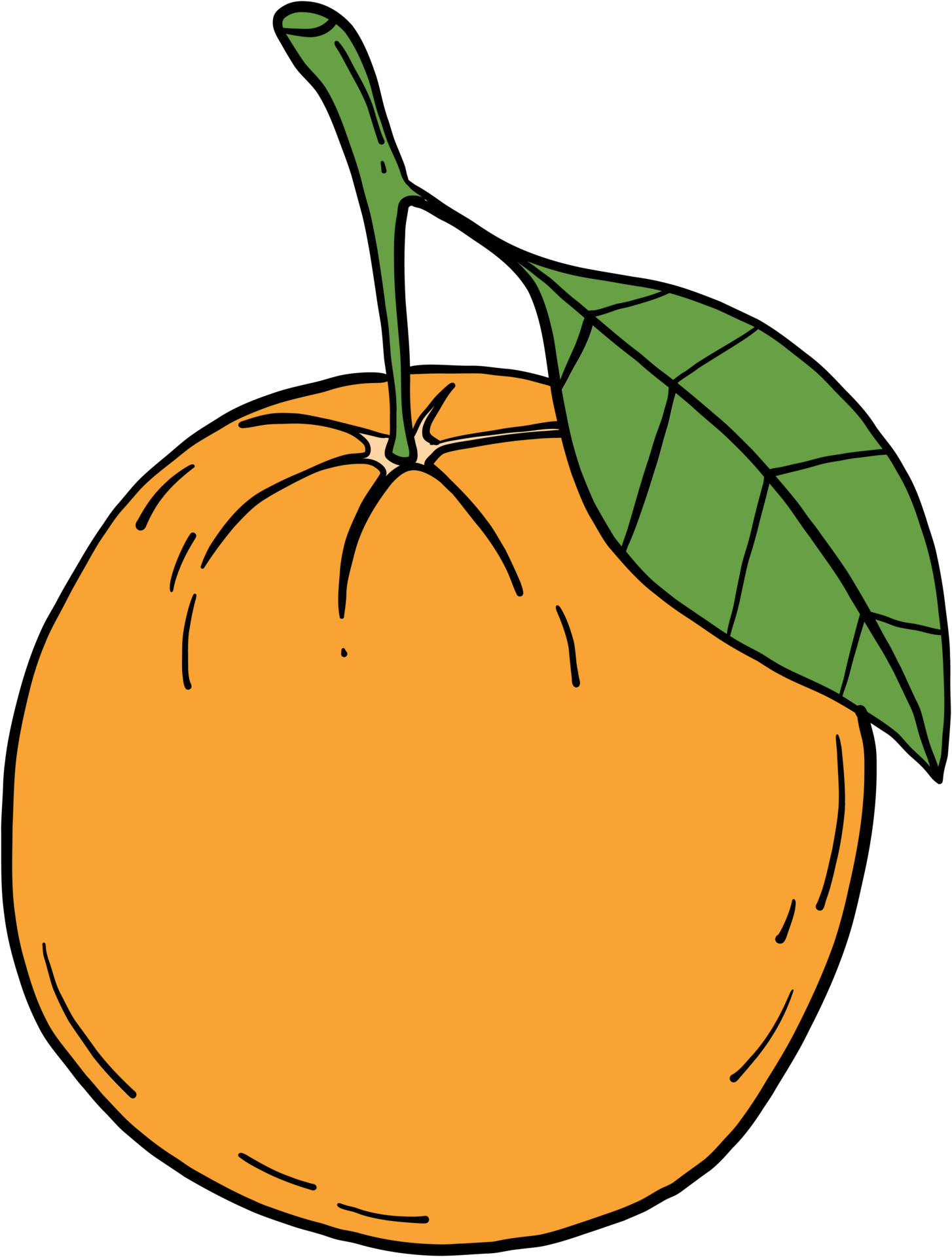 How to Draw an Orange  Really Easy Drawing Tutorial