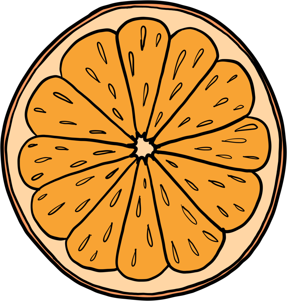 doodle desenho de esboço à mão livre de fruta laranja. png