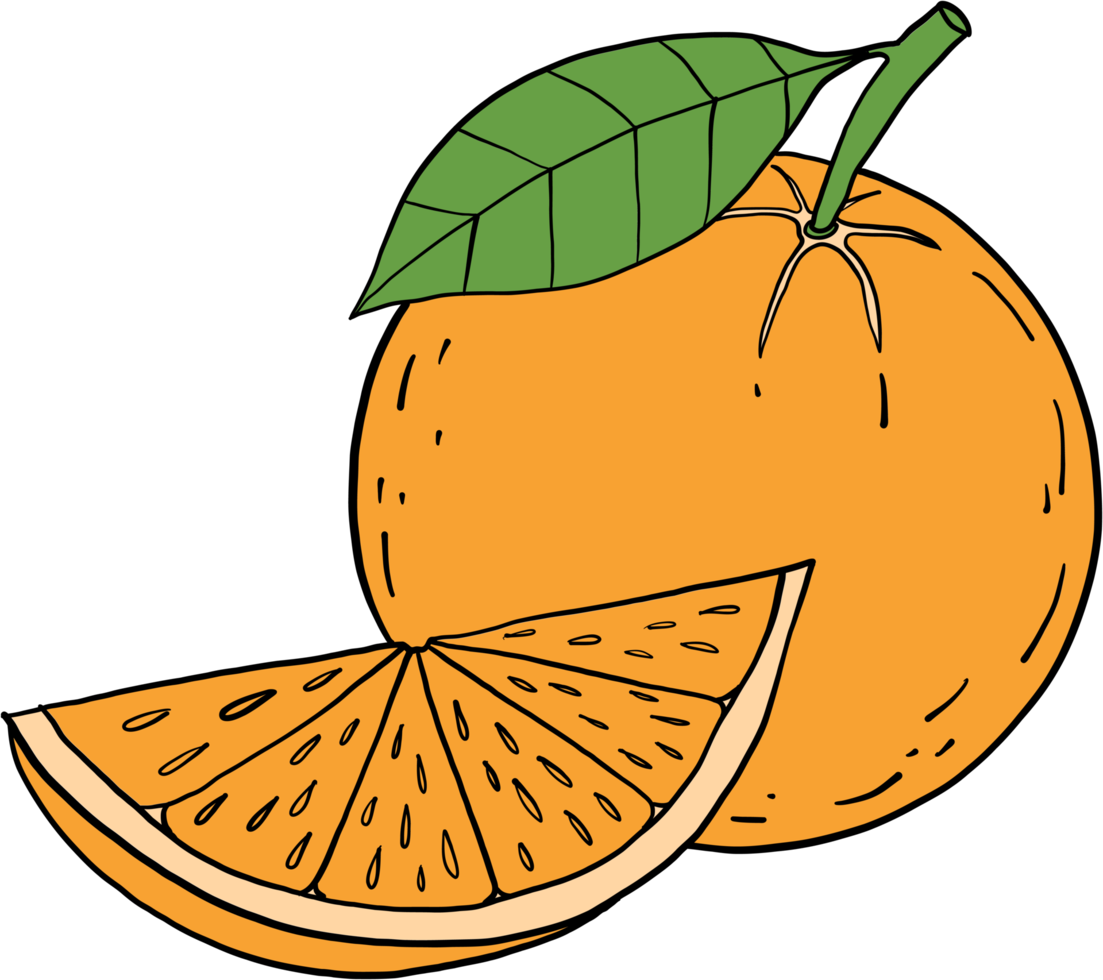 Doodle dibujo a mano alzada de fruta naranja. png