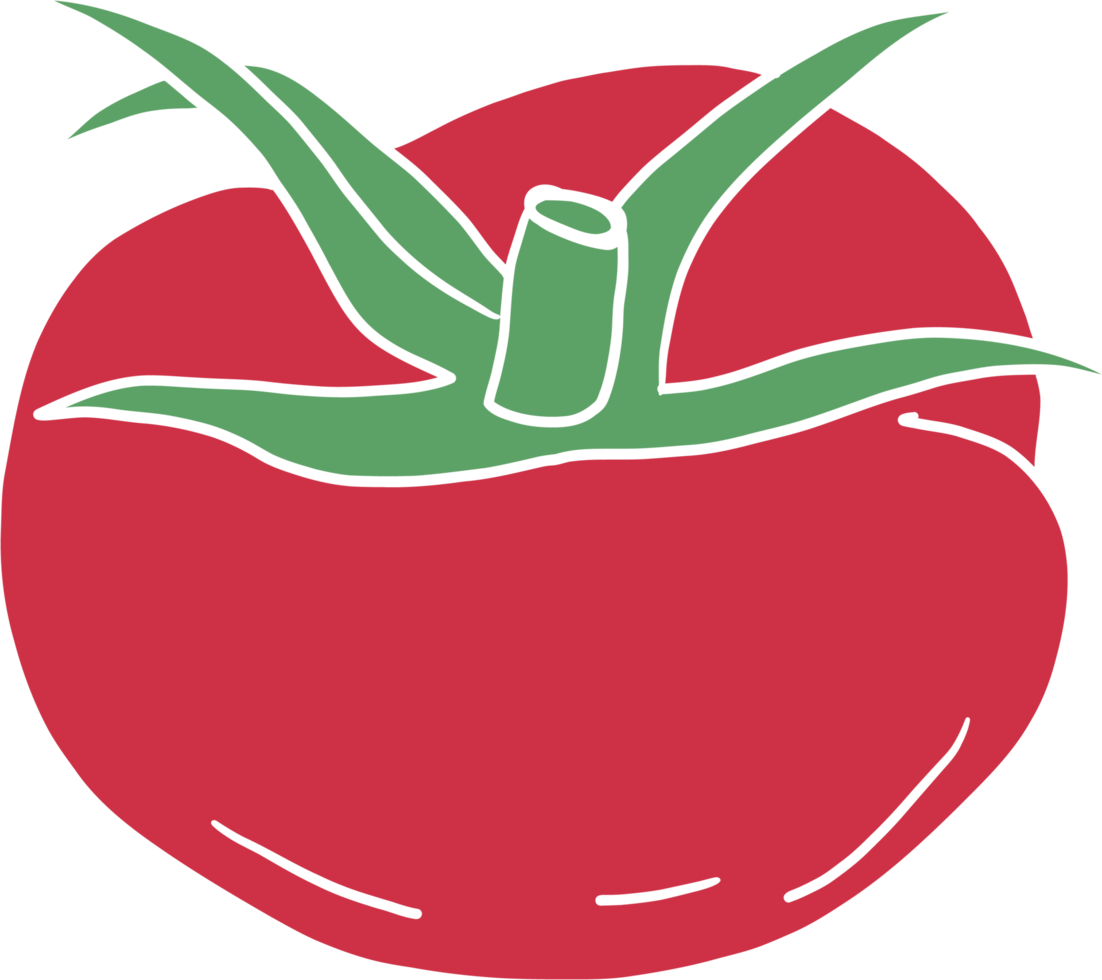 doodle frihand skissritning av tomatgrönsak. png