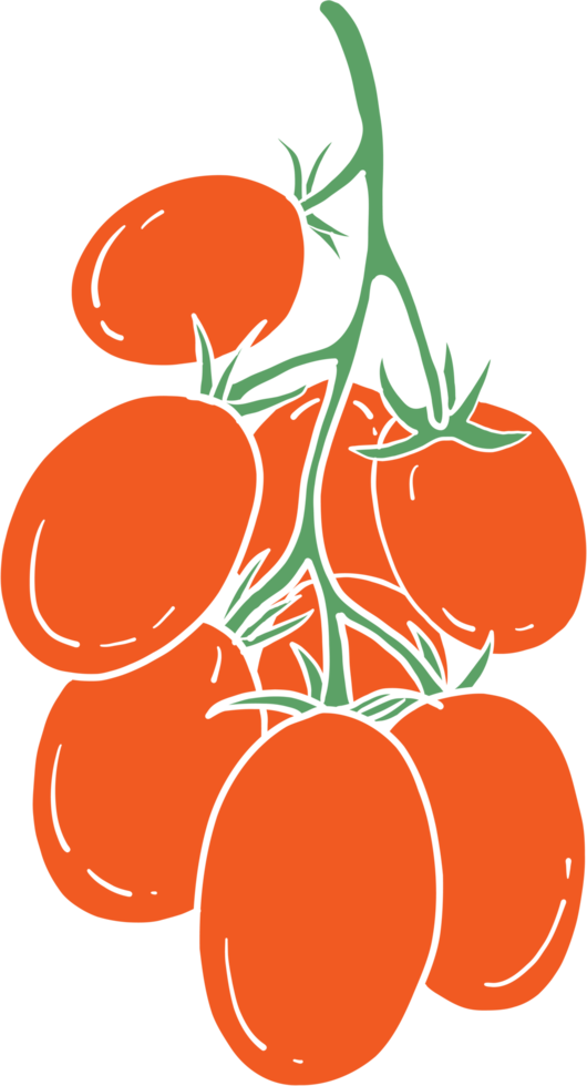 doodle croquis à main levée dessin de légume tomate. png