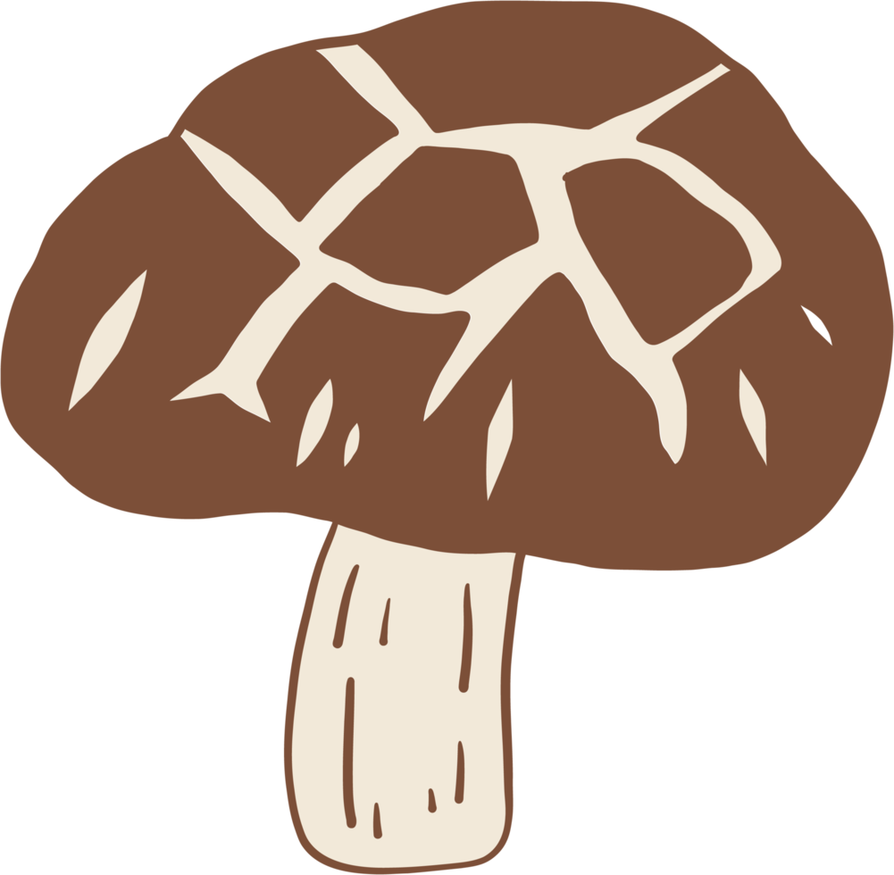 doodle freehand sketch drawing of shitake mushroom vegetable. png