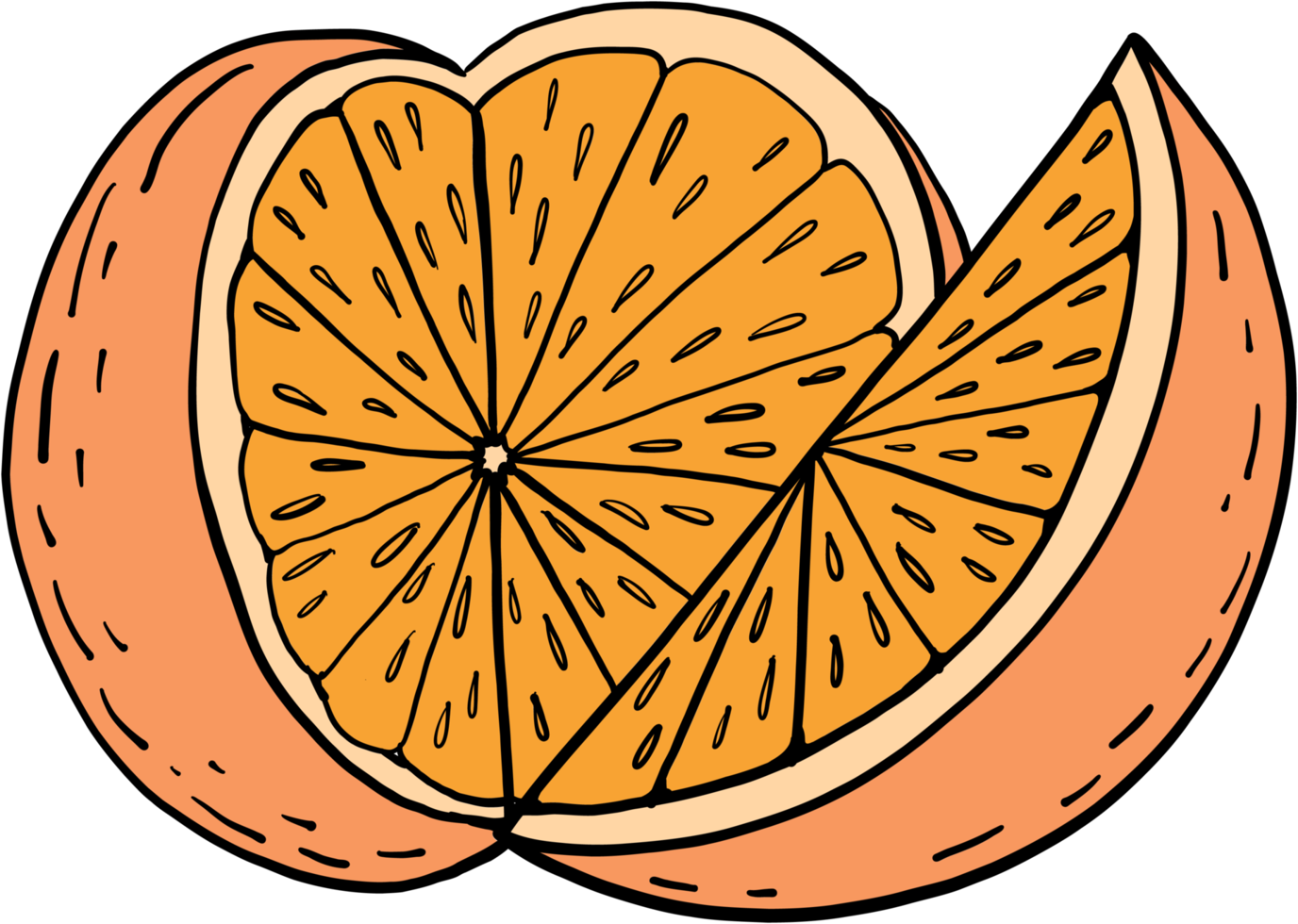 doodle freehand sketch drawing of orange fruit. png