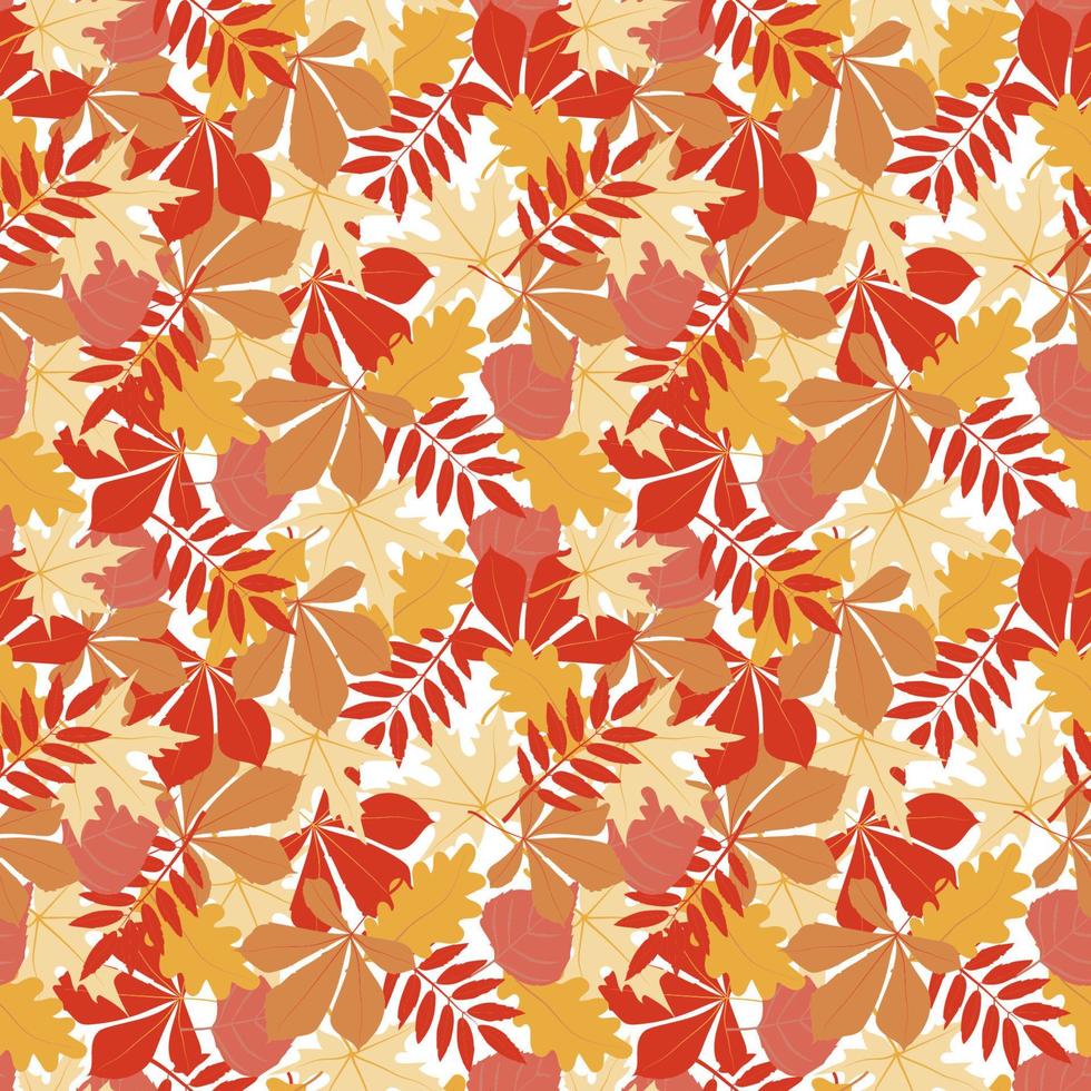 A seamless pattern of autumn leaves, hand-drawn doodle-style elements. Bright maple, oak, and aspen leaves. A carpet of autumn leaves. Thanksgiving. Back to school for the kids. Halloween. Autumn vector
