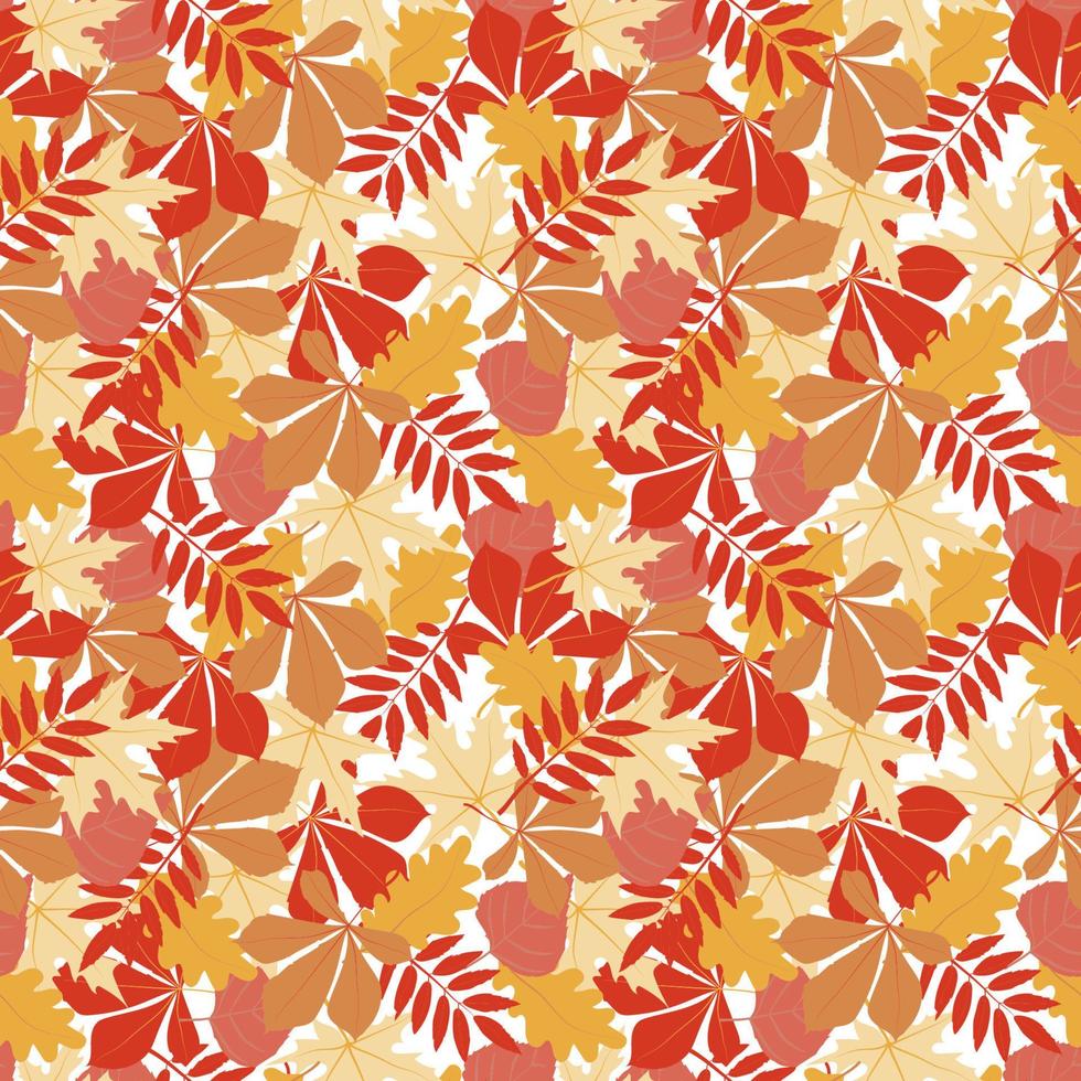 A seamless pattern of autumn leaves, hand-drawn doodle-style elements. Bright maple, oak, and aspen leaves. A carpet of autumn leaves. Thanksgiving. Back to school for the kids. Halloween. Autumn vector