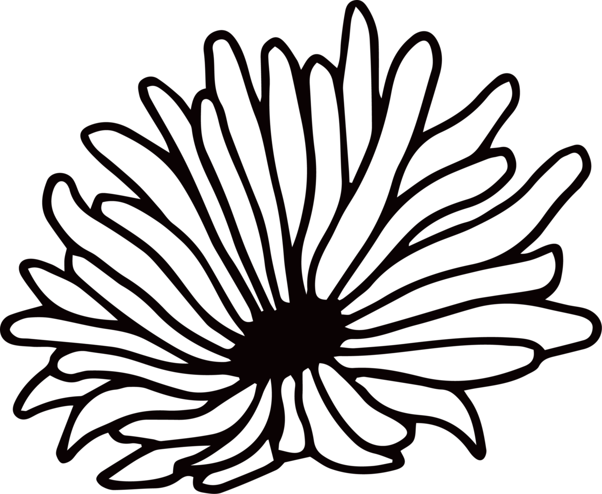 tintenstrich blumenpflanze png