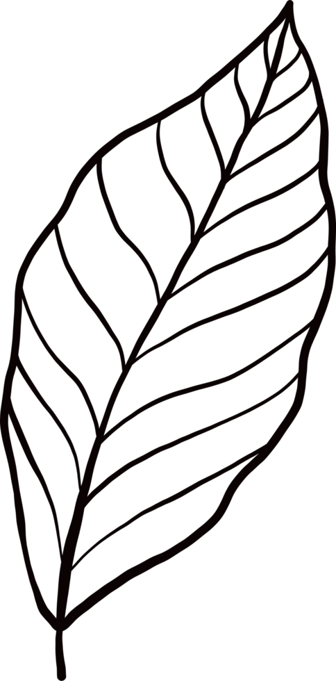 Ink paint stroke flower plant png