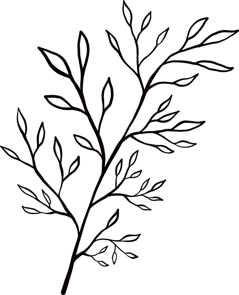 Ink paint stroke flower plant png