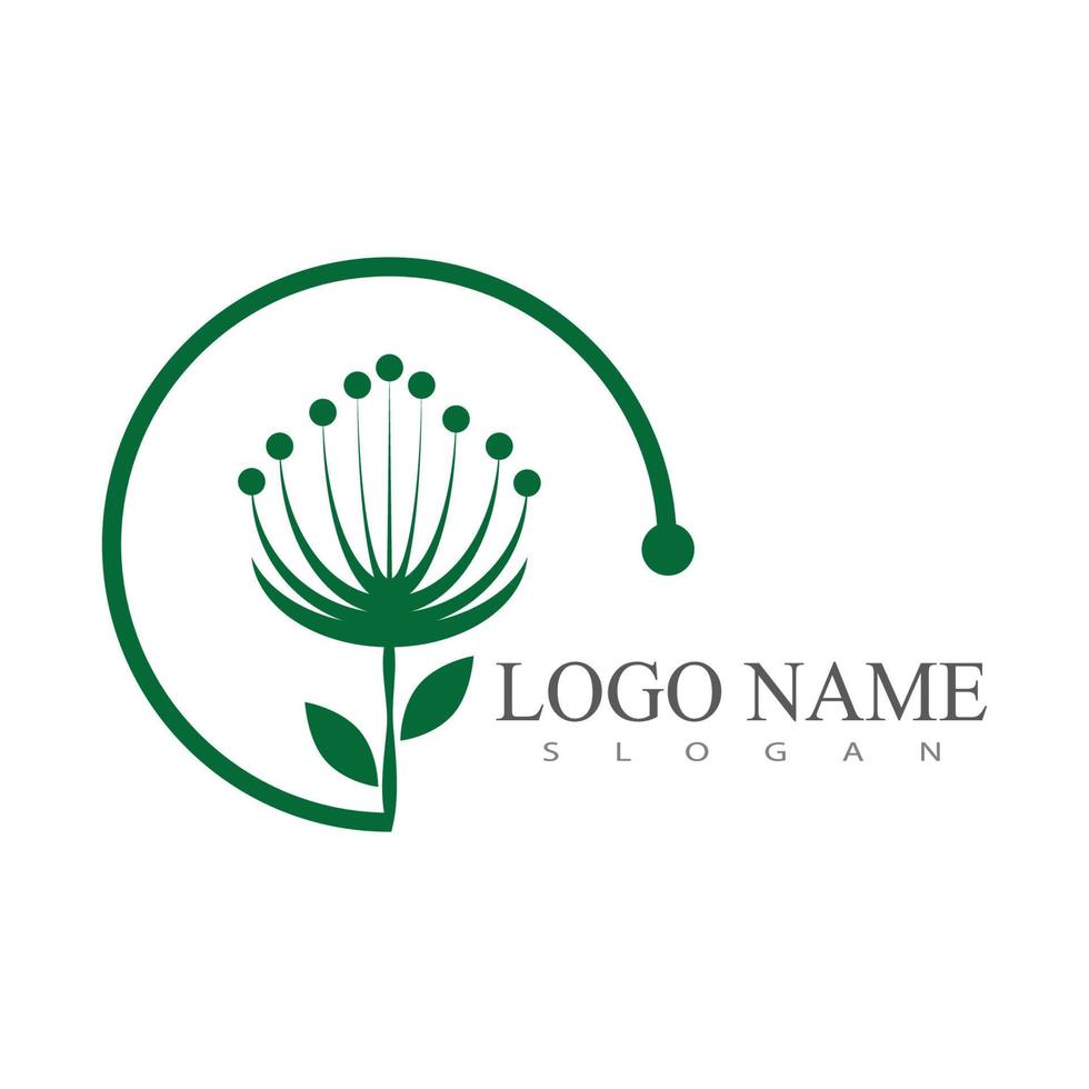 Dandelion flower logo vector template design